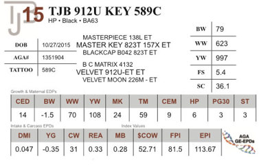 Lot 15 - TJB 912U KEY 589C